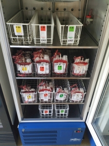 Tato lednice je obvykle plná transfuzních přípravků. V současné době je zaplněna sotva z jedné třetiny!